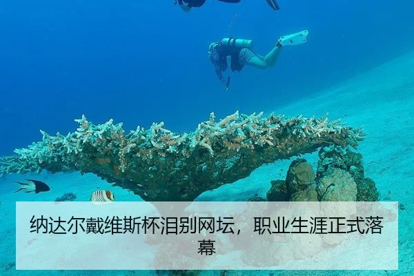 na-da-er-dai-wei-si-bei-lei-bie-wang-tan-zhi-ye-sheng-ya-zheng-shi-luo-mu-3-825.jpg